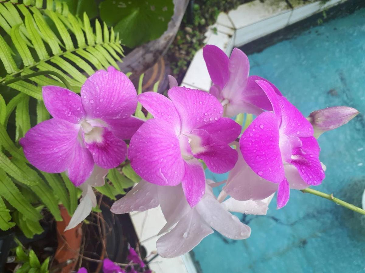 Ritzy House Hotel Chumphon Zewnętrze zdjęcie